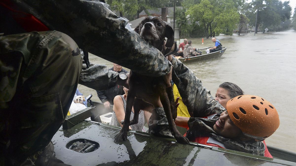 HurricaneHarvey