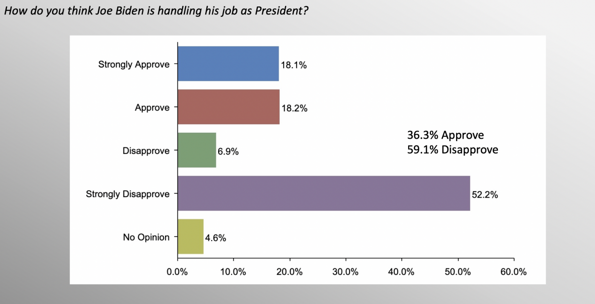 poll