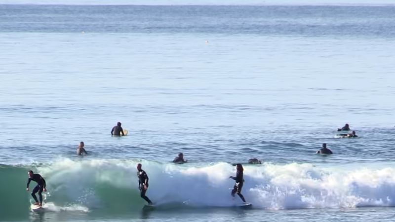 Surfers