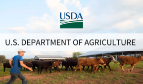 USDA.gov
