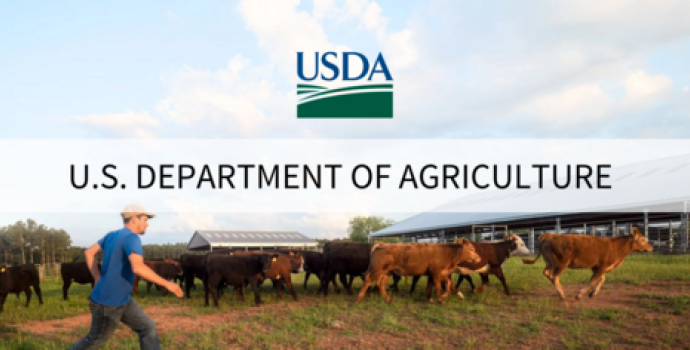 USDA.gov