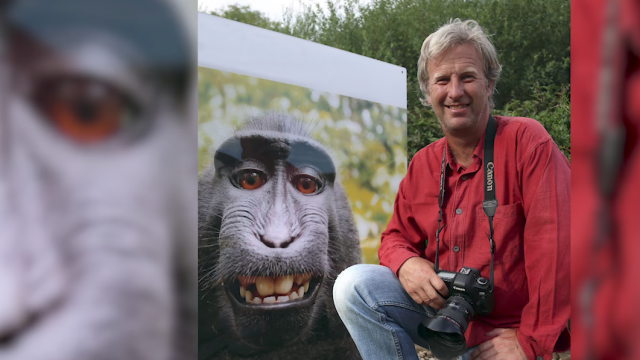 PETA Bullies a Photographer Who Took a 'Monkey Selfie' Into Settling In ...