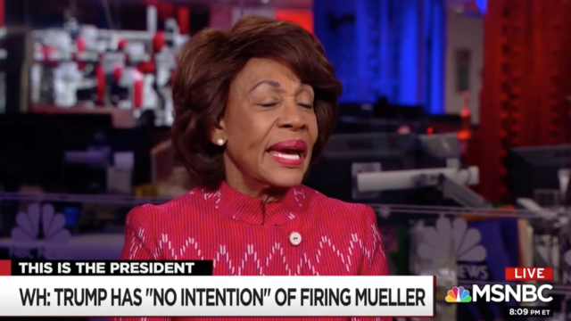 Five of the DUMBEST Things Maxine Waters Has Ever Said | MRCTV