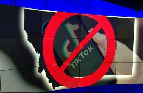 84% of Voters Want TikTok Either Restricted or Banned Outright Due to