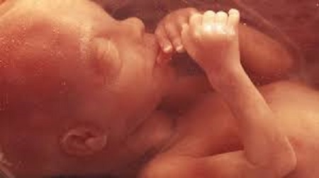 NextImg:WHO Postpones Vote to Accept Radical Abortion Group after MRC, Pro-Life Coalition Warn of Consequences