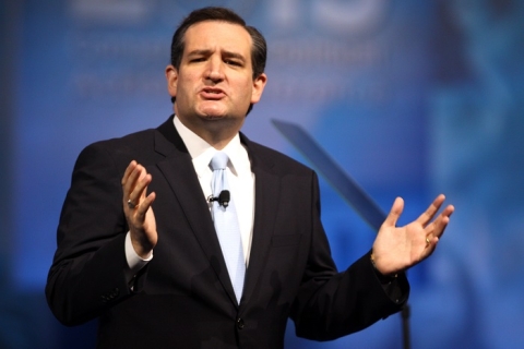 NextImg:Sen. Cruz: Schumer Won the Border Bill Battle, ‘He Knew It Would Fail, He Wanted It to Fail’