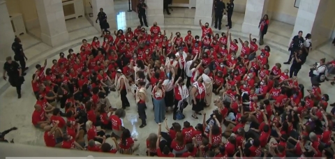 NextImg:Anti-Israel Protesters Invade Capitol Hill Rotunda, Some Handcuffed and Removed