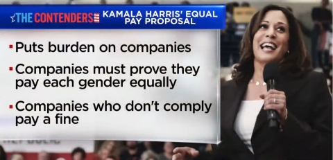 NextImg:Kamala Vowed to Force Companies to Prove They’re Paying ‘Equal’ Wages, Raise $180 Billion in Fines