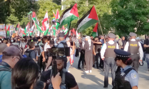 Pro-Palestinian Protests Erupt at 2024 DNC Convention in Chicago
