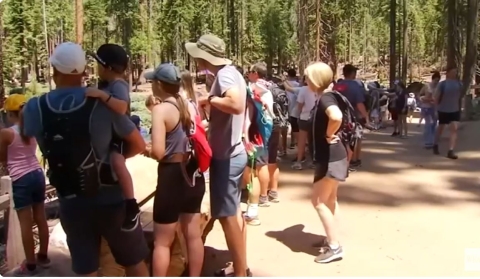 NextImg:Media Claim Park Service Staff Cuts Causing Chaos at Parks – and Bury NPS Reassurances