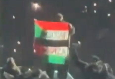 Super Bowl Halftime Show Performer Waves Pro-Palestine Flag During