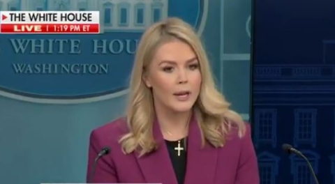 Politico’s ‘Scoop’ About Musk’s Departure ‘Is Garbage,’ WH’s Karoline Leavitt Says
