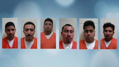 Six Illegal Aliens Arrested in Sex Trafficking Bust in Wisconsin