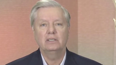 Sen. Graham to China: ‘Stop Eating Bats!’