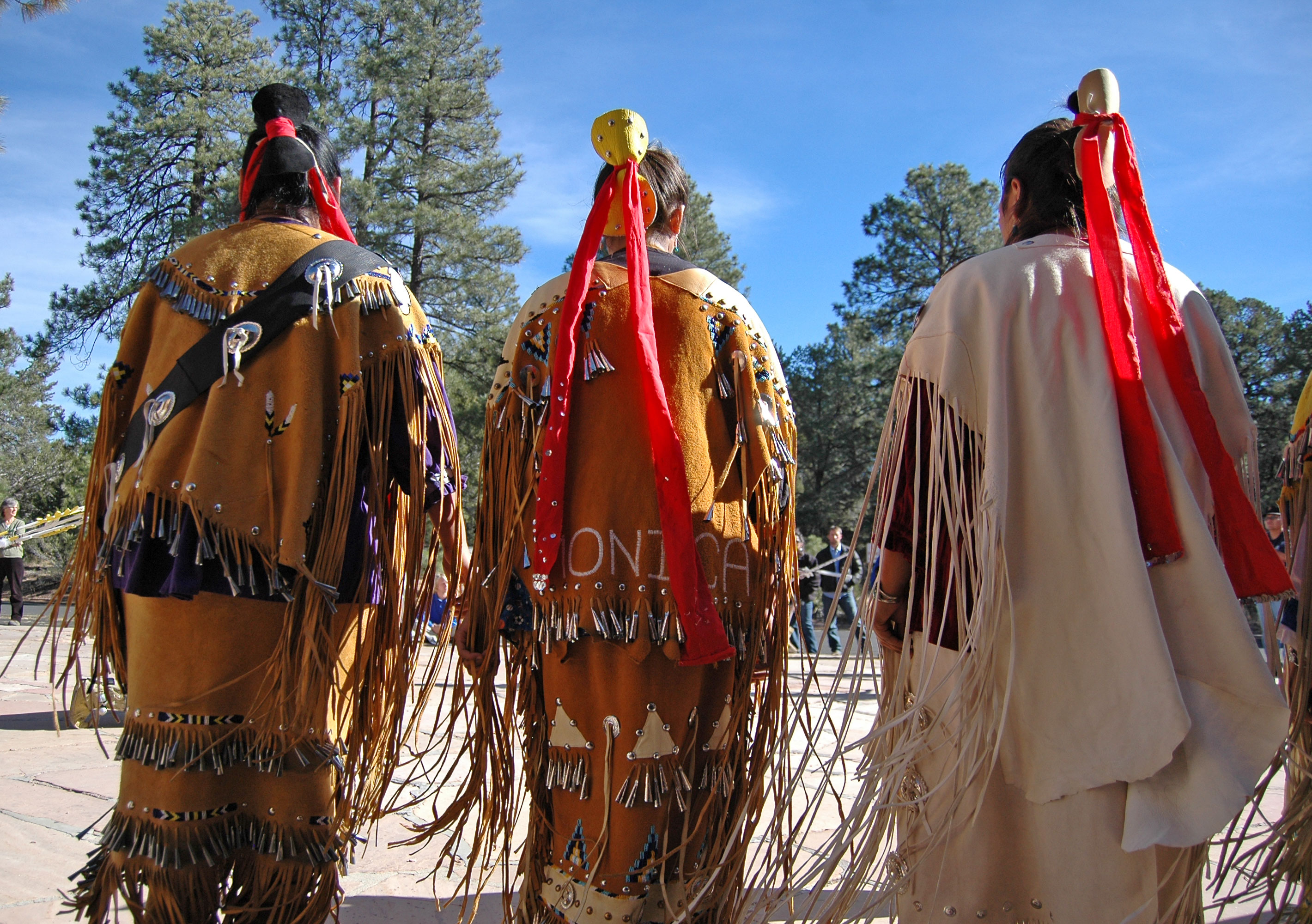 Largest Native American Tribe In United States