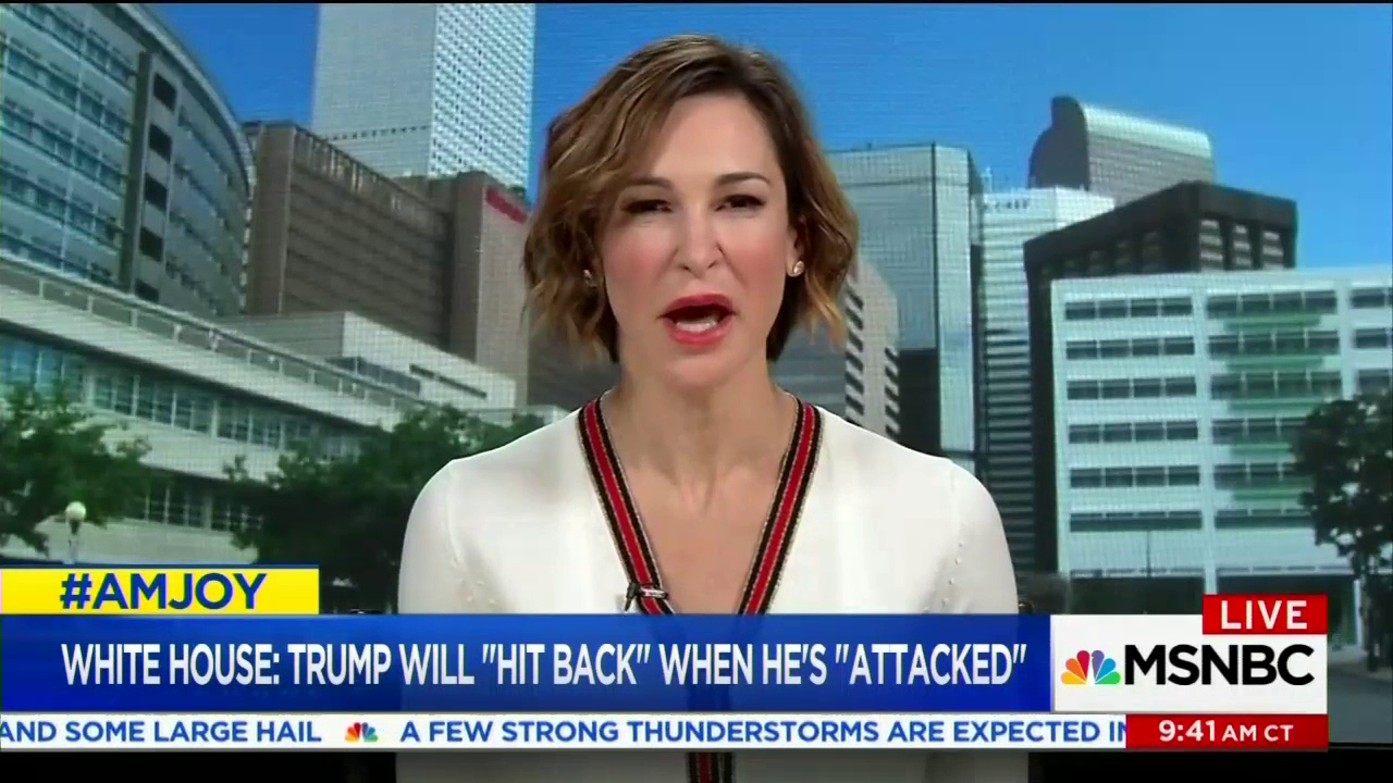 MSNBC Guest Slams 'Very Weak-Minded' Trump Admin Women, 'Smaller Minds ...